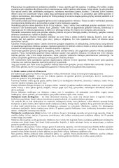 Valstybinė ekonomika 11 puslapis