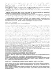 Valstybinė ekonomika 8 puslapis