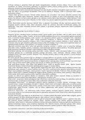 Valstybinė ekonomika 10 puslapis