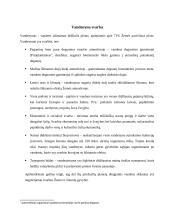 Vandenynų tarša Referatas 3 puslapis