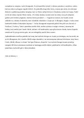 Ar mylintis žmogus visada laimingas 2 puslapis