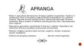 Kasdienis žmonių gyvenimas pagonybės laikais 6 puslapis