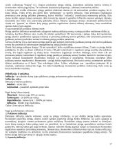 Ekonomika įvadas 17 puslapis