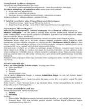 Ekonomika įvadas 7 puslapis