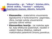 Ekonomikos teorijos pagrindinė informacija 2 puslapis