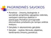 Ekonomikos teorijos pagrindinė informacija 11 puslapis