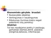 Ekonomikos teorijos pagrindinė informacija 12 puslapis