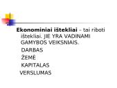 Ekonomikos teorijos pagrindinė informacija 13 puslapis