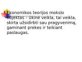 Ekonomikos teorijos pagrindinė informacija 3 puslapis
