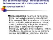 Ekonomikos teorijos pagrindinė informacija 9 puslapis