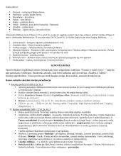 Antika konspektas 3 puslapis