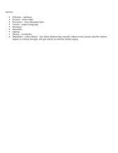 Antika konspektas 6 puslapis