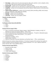 Istorijos pagrindinės sąvokos 2 puslapis