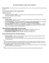 Istorijos pagrindinės sąvokos 4 puslapis