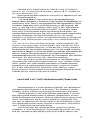 Ekonominių teorijų istorija. K. Marksas "Kapitalas" 11 puslapis
