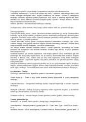 Ekosistema. Žmogus. Žmogaus anatomija 2 puslapis