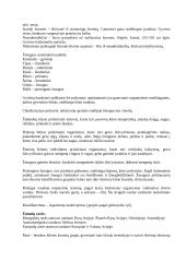 Ekosistema. Žmogus. Žmogaus anatomija 3 puslapis