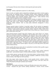 Ekosistema. Žmogus. Žmogaus anatomija 4 puslapis