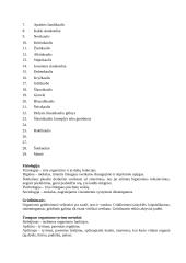 Ekosistema. Žmogus. Žmogaus anatomija 6 puslapis