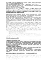 Elektronikos bilietai 3 puslapis