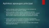 Aplinkosauginių problemų sprendimo ypatumai urbanizuotose teritorijose 5 puslapis