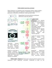 Elektroniniai matavimo prietaisai 2 puslapis