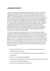 Šatrijos Ragana, kūryba 2 puslapis