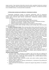 Elektronino verslo teisinė aplinka 11 puslapis