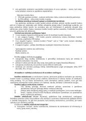 Elektronino verslo teisinė aplinka 12 puslapis