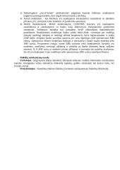 Elektronino verslo teisinė aplinka 13 puslapis