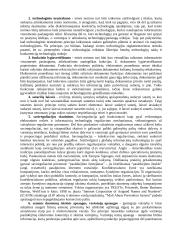 Elektronino verslo teisinė aplinka 3 puslapis