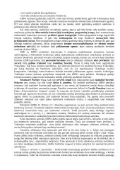 Elektronino verslo teisinė aplinka 10 puslapis