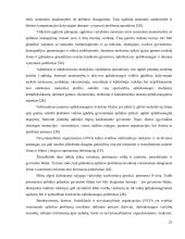 Jaunų žmonių aplinkos problemų suvokimas bendrame jaunimo politikos kontekste:  Vilniaus miesto atvejis  19 puslapis