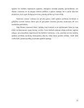 Jaunų žmonių aplinkos problemų suvokimas bendrame jaunimo politikos kontekste:  Vilniaus miesto atvejis  20 puslapis