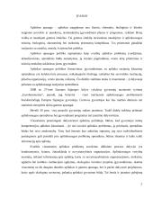 Jaunų žmonių aplinkos problemų suvokimas bendrame jaunimo politikos kontekste:  Vilniaus miesto atvejis  3 puslapis