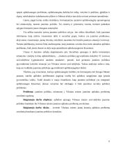 Jaunų žmonių aplinkos problemų suvokimas bendrame jaunimo politikos kontekste:  Vilniaus miesto atvejis  4 puslapis