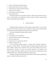 Jaunų žmonių aplinkos problemų suvokimas bendrame jaunimo politikos kontekste:  Vilniaus miesto atvejis  8 puslapis