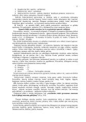 Estetika ir emocinė kultūra 11 puslapis