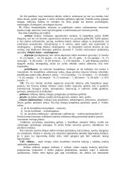 Estetika ir emocinė kultūra 13 puslapis