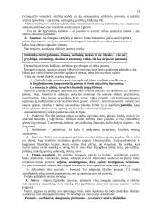 Estetika ir emocinė kultūra 14 puslapis