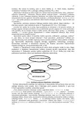 Estetika ir emocinė kultūra 17 puslapis