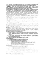 Estetika ir emocinė kultūra 4 puslapis