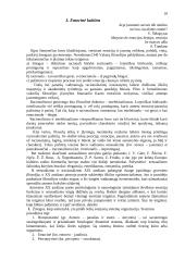 Estetika ir emocinė kultūra 10 puslapis