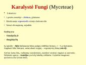 Grybeliai 2 puslapis