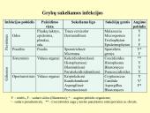 Grybeliai 16 puslapis