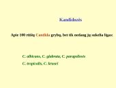 Grybeliai 18 puslapis