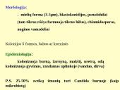 Grybeliai 19 puslapis