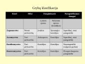 Grybeliai 4 puslapis