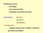 Grybeliai 5 puslapis