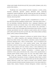 Estetinis pažinimas ir suvokimas 11 puslapis